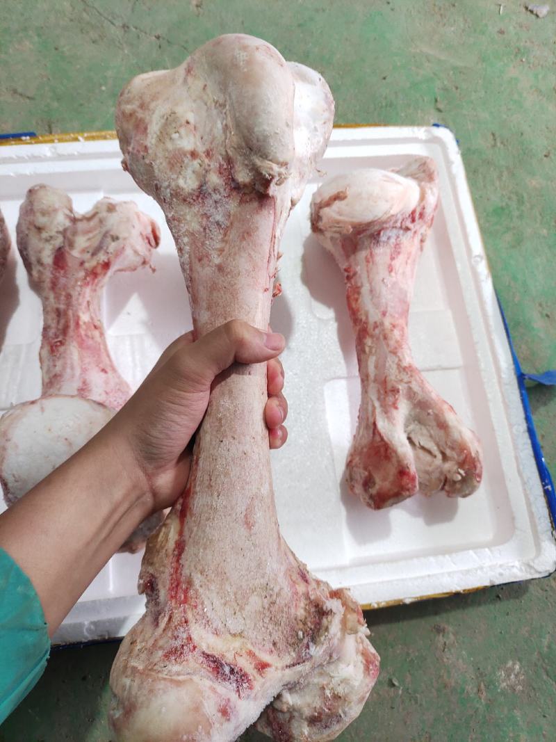 国产牛棒骨，熬汤专用多骨髓，一手货源欢迎进店选购