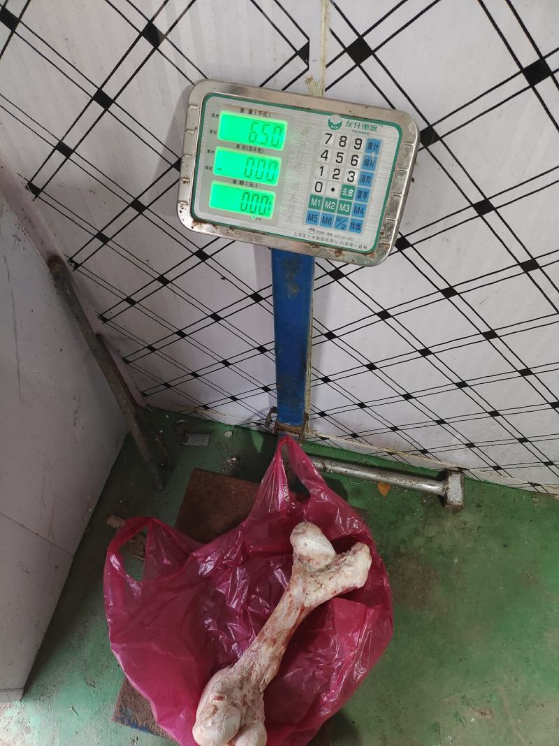 国产牛棒骨，熬汤专用多骨髓，一手货源欢迎进店选购