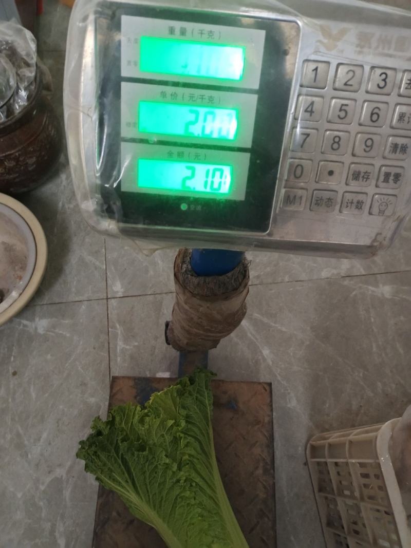 青麻叶大量上市市，价格按当天走价为准，支持配菜