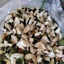 三花陈皮