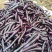 海南精品长茄现货大量上市！欢迎大家前来选购
