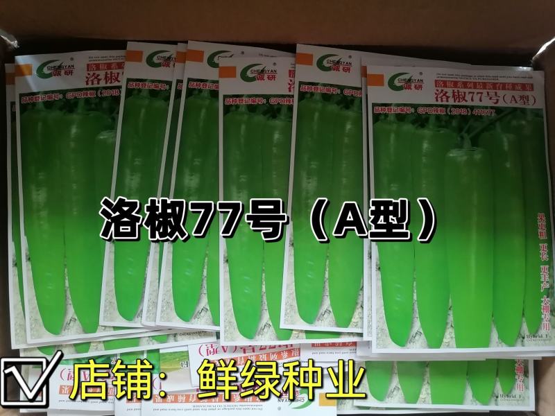 洛椒77号（A型）早熟色黄绿外观亮丽果型粗长丰产品质优