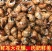 （东风螺）新鲜活冻花螺小海螺饱满无沙香螺贝壳海鲜捞汁食材