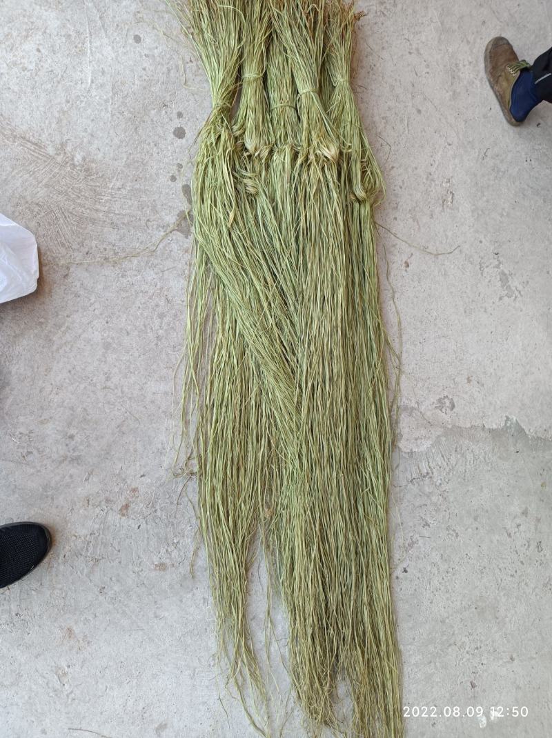 苎麻，青麻，纯手工苎麻