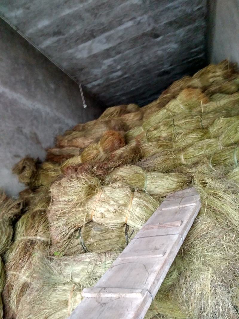 苎麻，青麻，纯手工苎麻