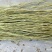 苎麻，青麻，纯手工苎麻