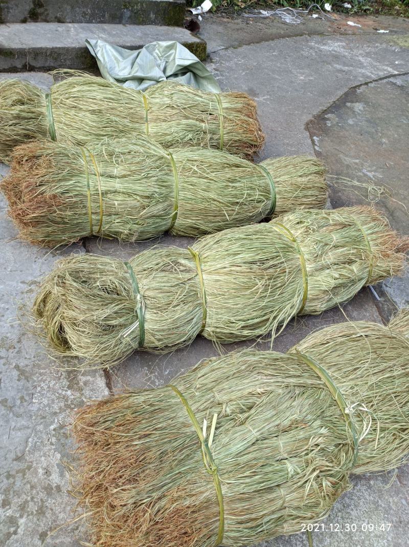 苎麻，青麻，纯手工苎麻