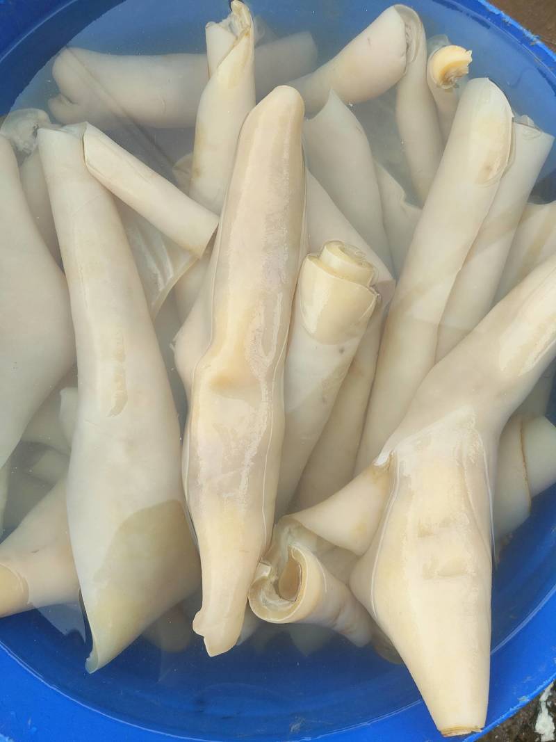 熟牛皮块