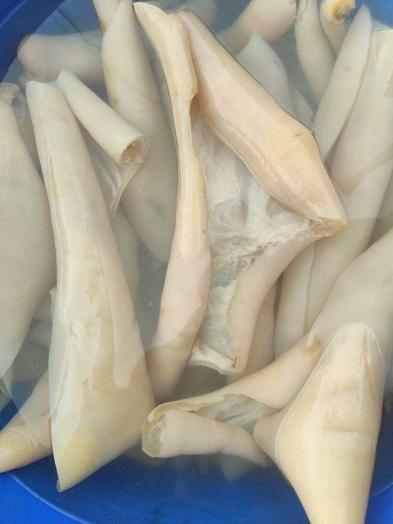 熟牛皮块