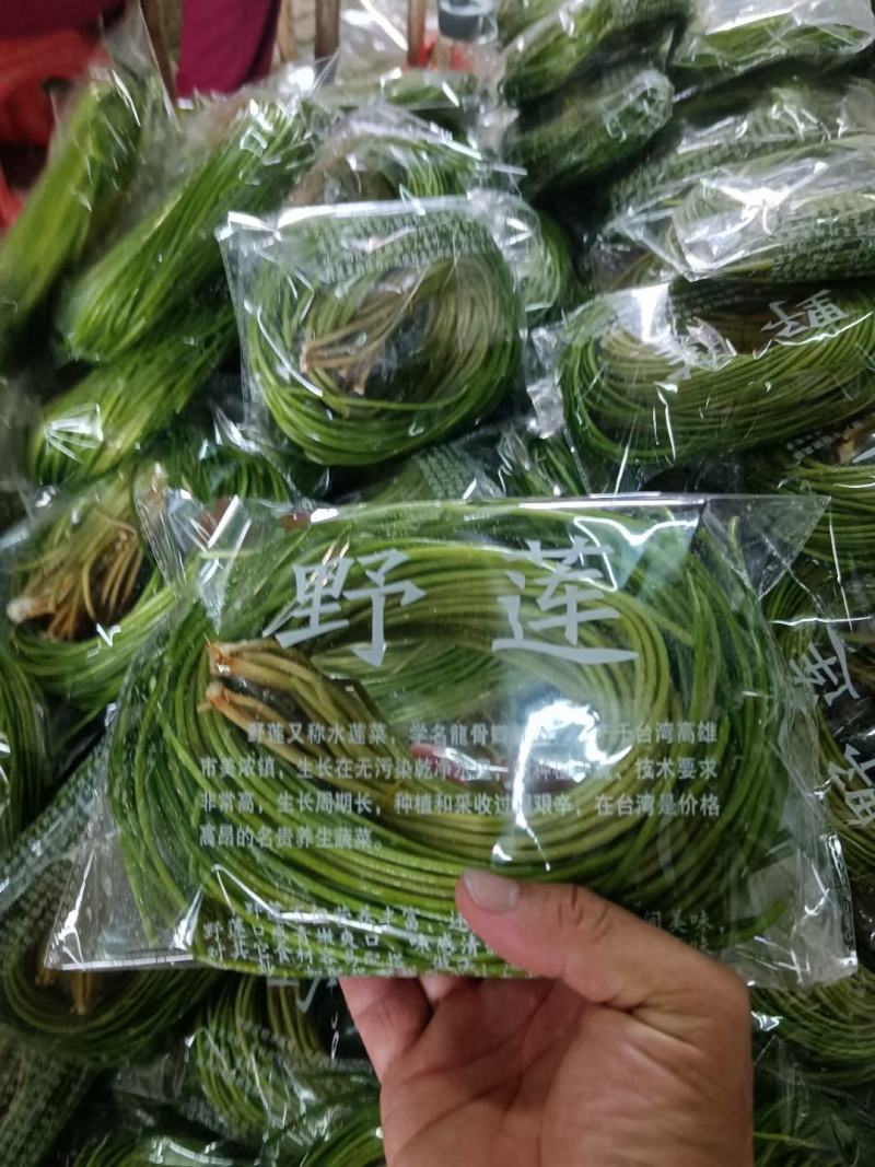 野莲菜，每天新鲜采摘，欢迎你在一亩田合作