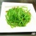 野莲菜，每天新鲜采摘，欢迎你在一亩田合作
