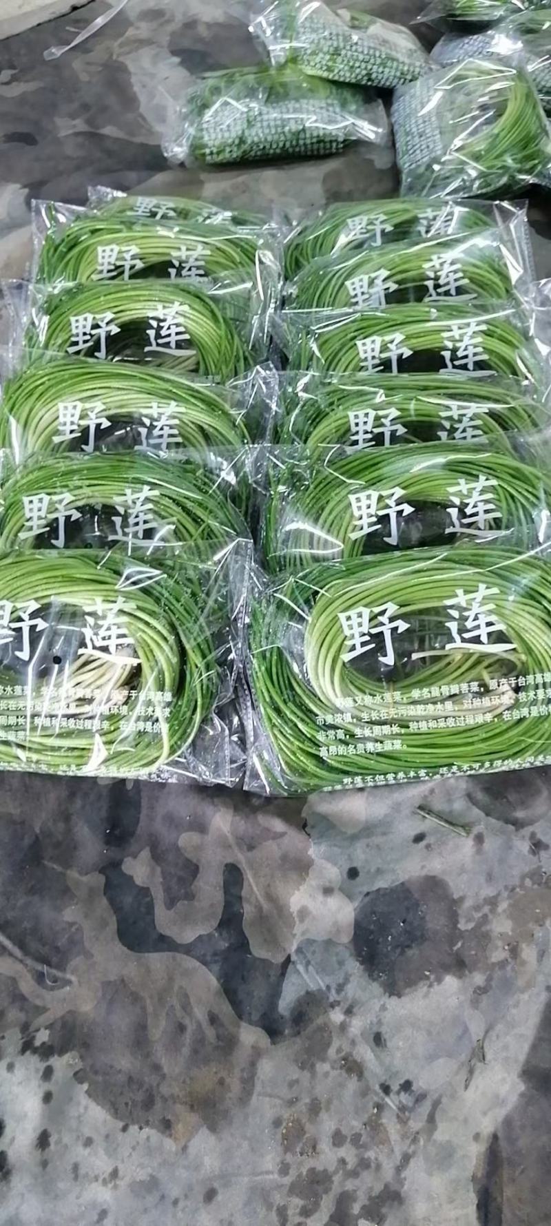 野莲菜，每天新鲜采摘，欢迎你在一亩田合作