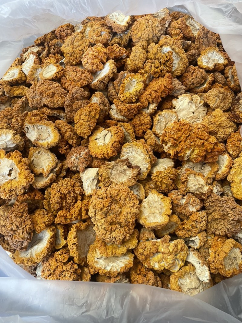 云南黄金耳银耳丑耳批发一手货源