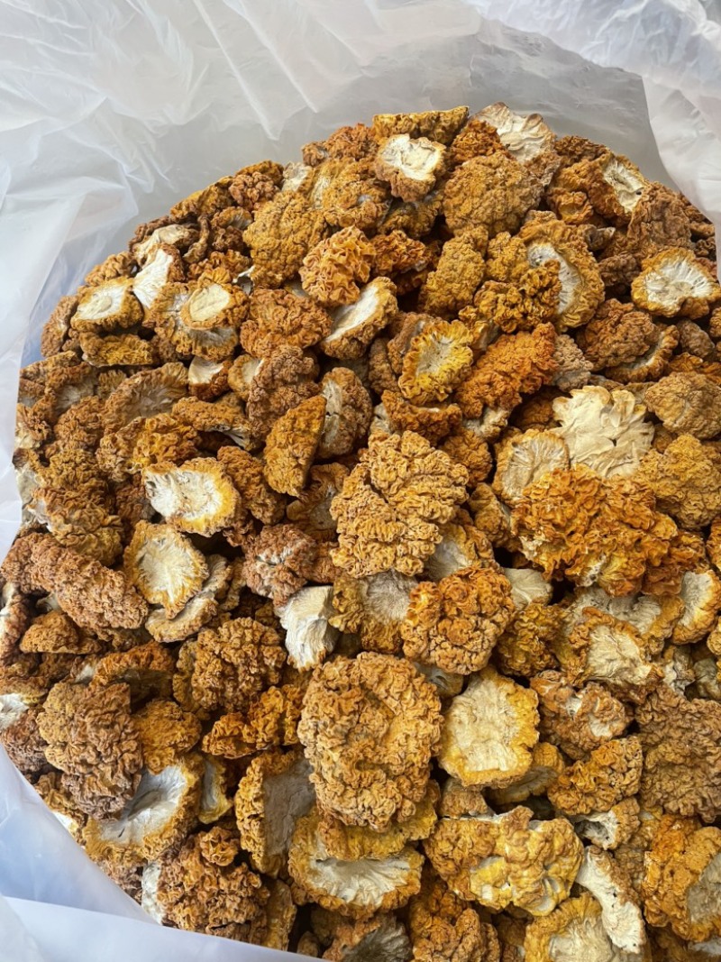 云南黄金耳银耳丑耳批发一手货源