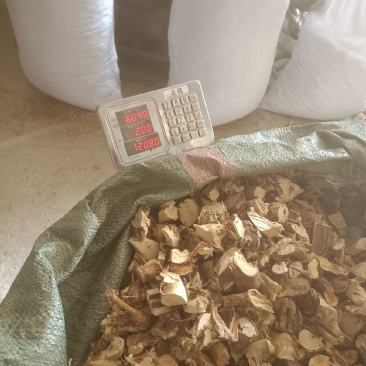 五指毛桃头粒！很靓的货颜色白净货如图片有