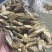 深山挖出来野生牛大力干片