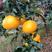 蒲江爱媛果冻橙，可以吸的橙子，爆甜多汁，对接全国电商市场