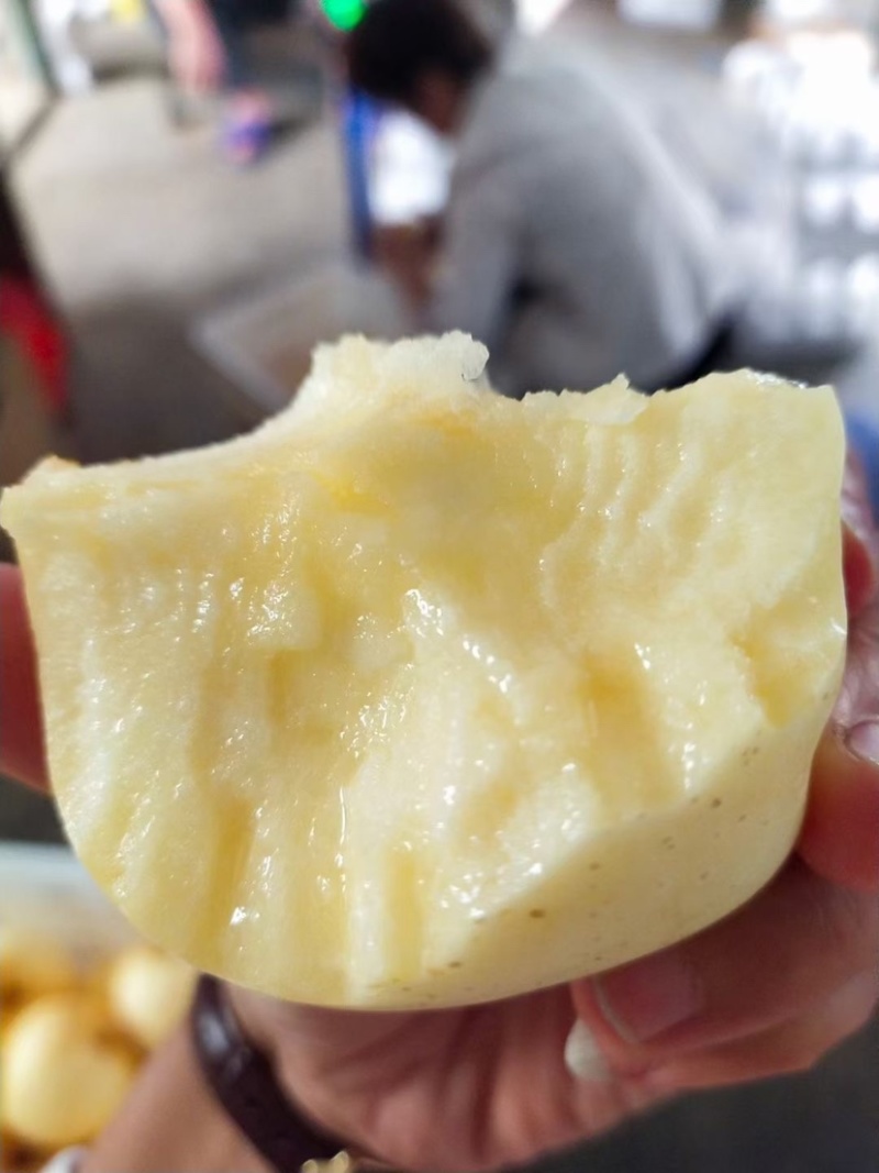 维纳斯黄金苹果