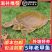 外塘老甲鱼塘口新鲜现抓现发，量大价格优，基地直发