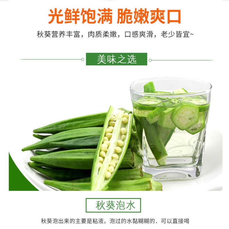 【新鲜秋葵】樟树青秋葵|精品水果秋葵|一手货源|产地直供