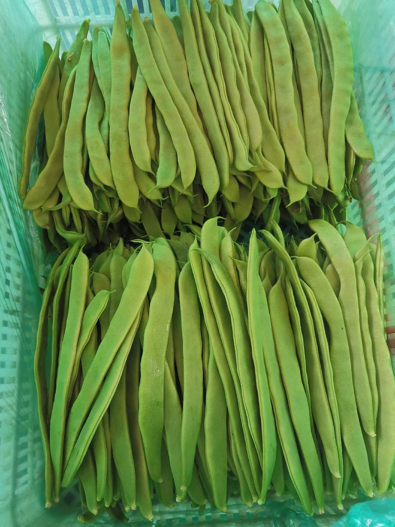 绿扁豆刀豆芸豆大量上市。产地直销。电商。社区团购。