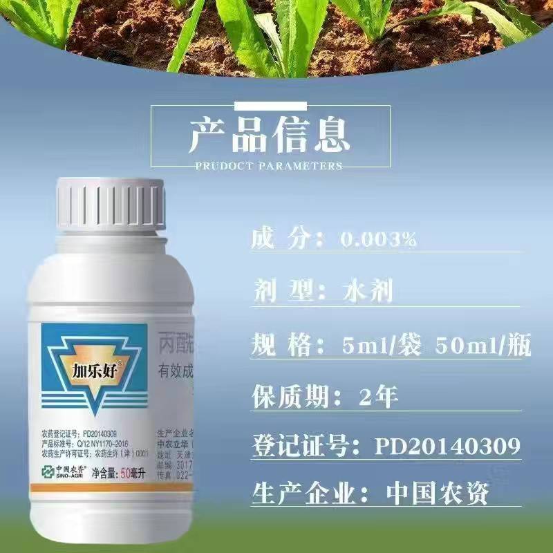 中农立华加乐好丙酰芸苔素内脂促小麦水稻调节生产增产调节剂