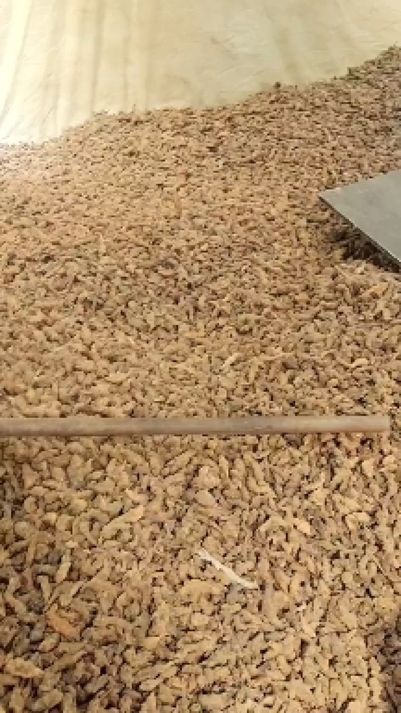 菊芋干度好，无杂质。有片