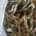 金鸡脚，鸡脚草，鸭婆脚，七星丹，纯野生，有带头和不带头
