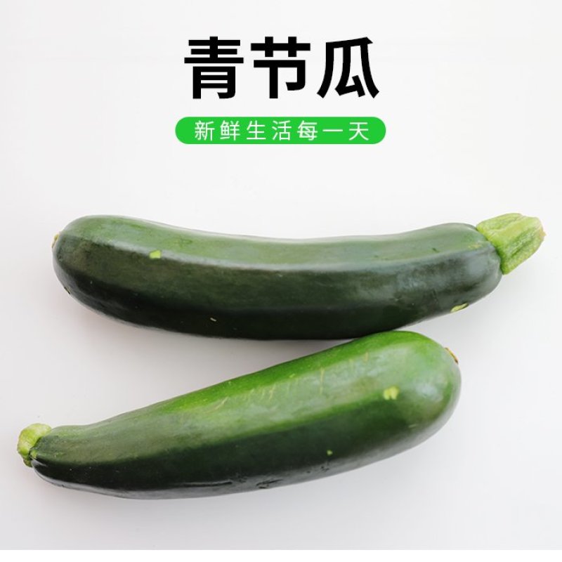 【新鲜节瓜】樟树青节瓜|精品青节瓜|一手货源|产地直供