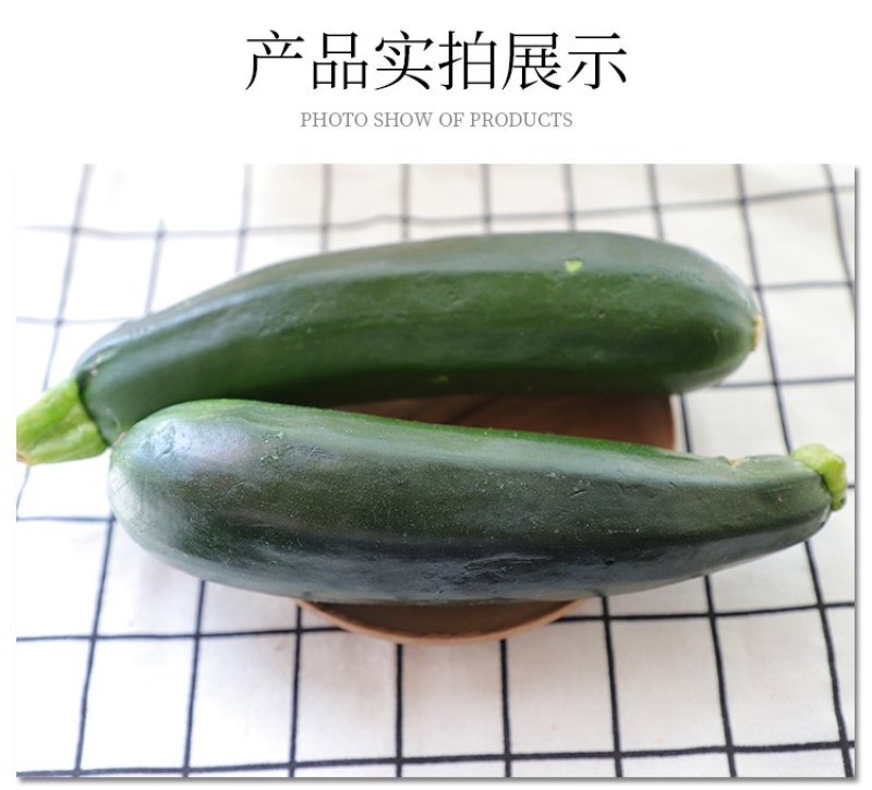 【新鲜节瓜】樟树青节瓜|精品青节瓜|一手货源|产地直供