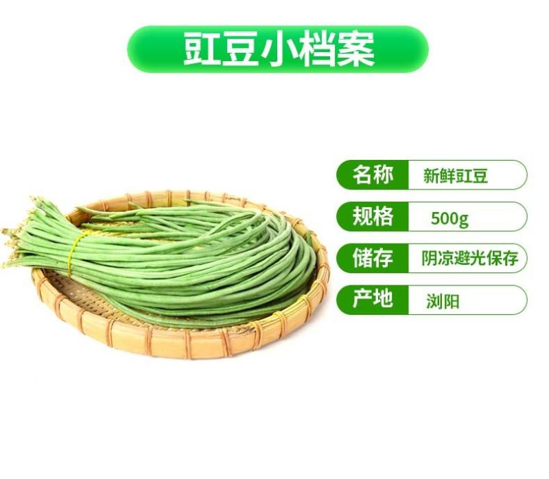 【新鲜豆角】樟树青豆角|精品豇豆|一手货源|产地直供