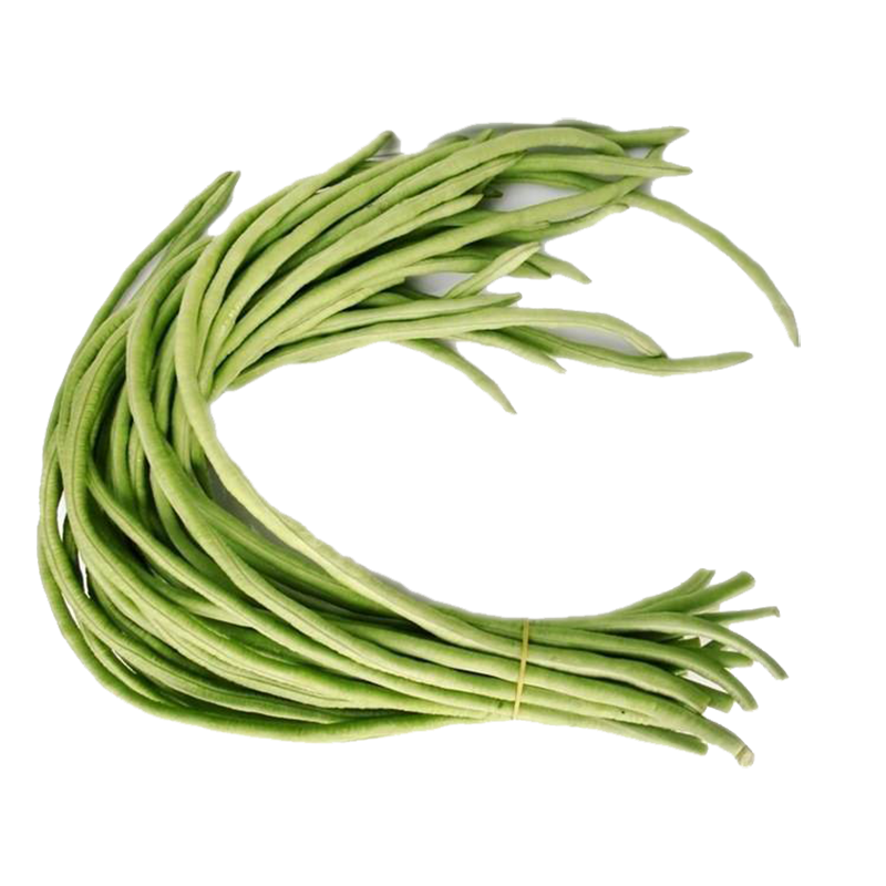 【新鲜豆角】樟树青豆角|精品豇豆|一手货源|产地直供
