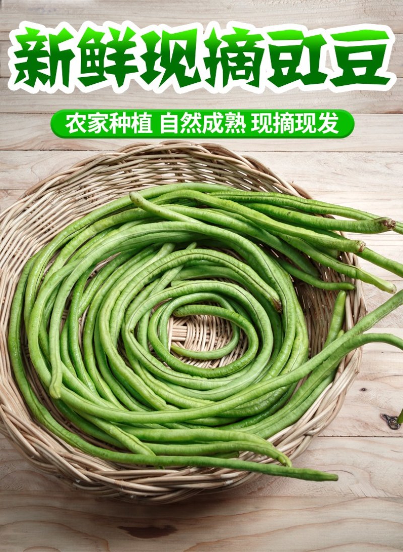 【新鲜豆角】樟树青豆角|精品豇豆|一手货源|产地直供