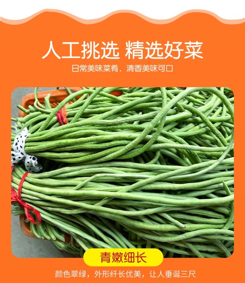 【新鲜豆角】樟树青豆角|精品豇豆|一手货源|产地直供