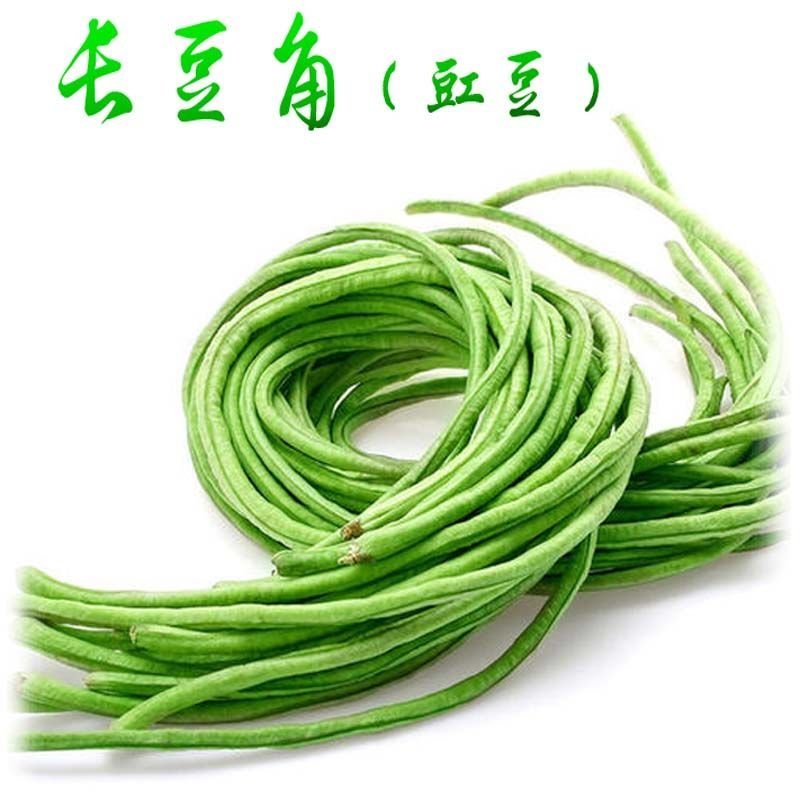 【新鲜豆角】樟树青豆角|精品豇豆|一手货源|产地直供