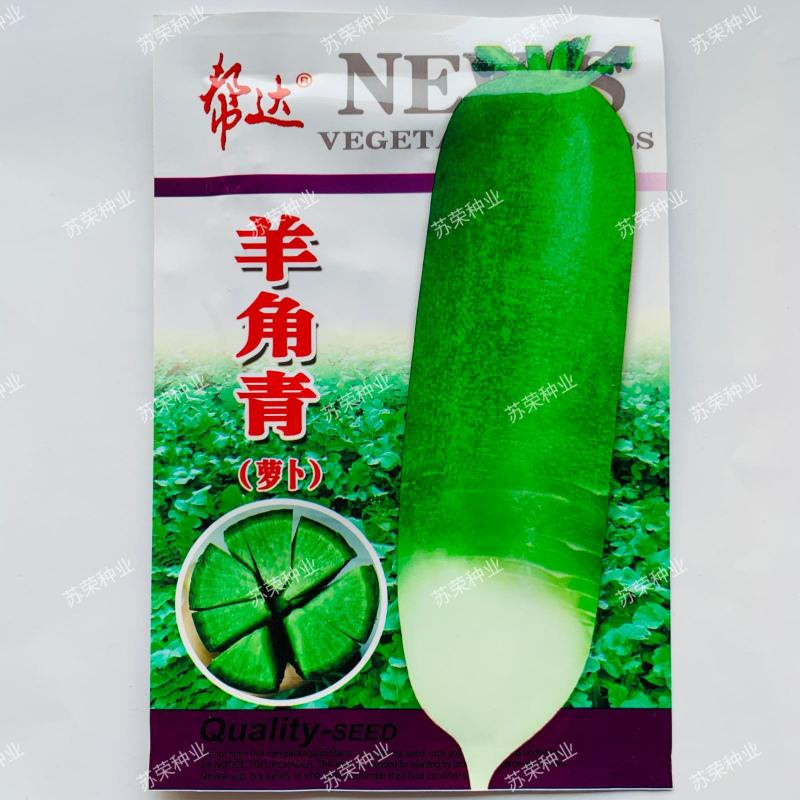青皮绿肉萝卜种子秋播萝卜微辣帮达羊角青萝卜种籽大田用