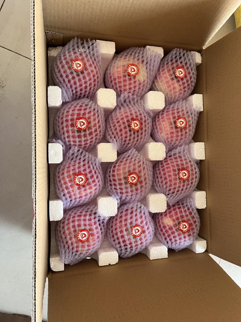 【福利】特价陕西洛川苹果供应链甜脆团购一件代发包邮