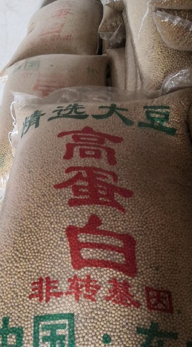 东北大豆产地直发大量有货质量好价格低