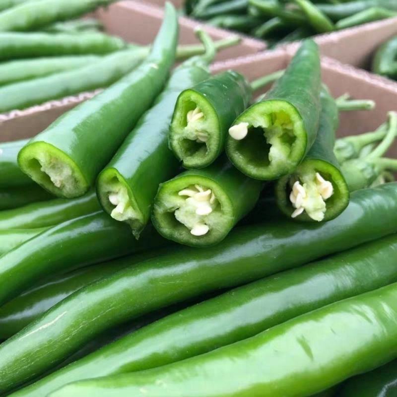 随行就市电议新鲜青线椒二荆条线椒新鲜二荆条一手货源直供