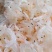淡干虾皮，一手货源，证件齐全，电商供货，一件代发。