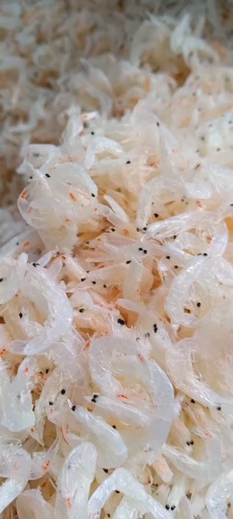 淡干虾皮，一手货源，证件齐全，电商供货，一件代发。