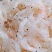 淡干虾皮，一手货源，证件齐全，电商供货，一件代发。