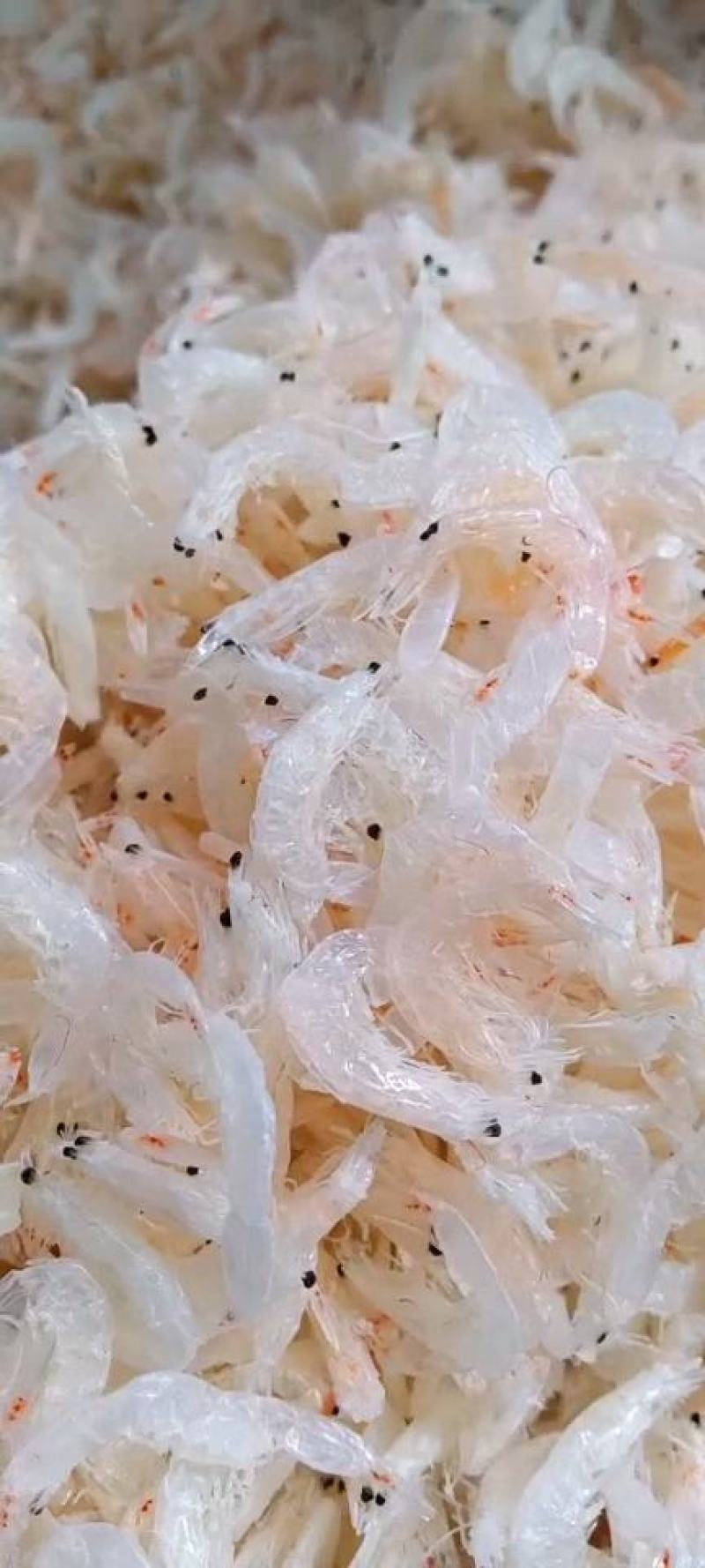 淡干虾皮，一手货源，证件齐全，电商供货，一件代发。