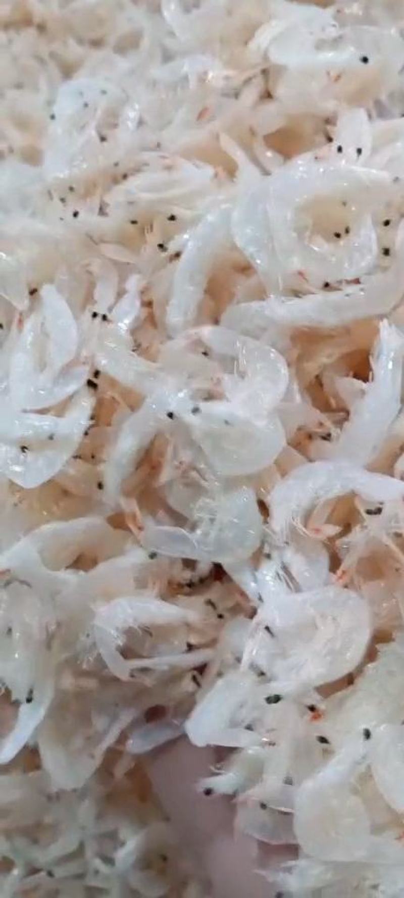 淡干虾皮，一手货源，证件齐全，电商供货，一件代发。