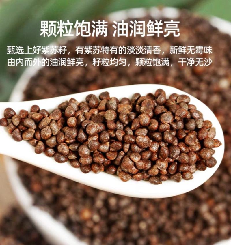 新货生紫苏籽粒500g东北特产新鲜紫苏子食用烧烤调料麻籽