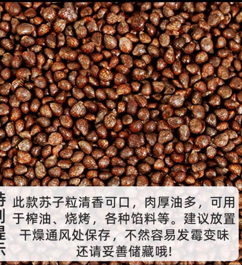 新货生紫苏籽粒500g东北特产新鲜紫苏子食用烧烤调料麻籽