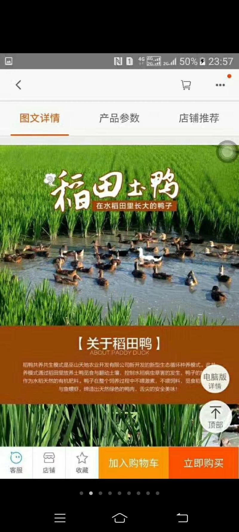高山稻田土鸭蛋