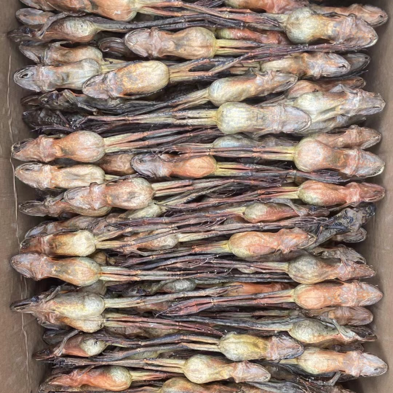 批发保真长白山林蛙油，线油，块油，干只各种规格