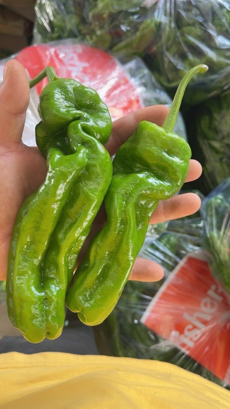 【精品】南通薄皮上市，需要的老板联系，产地直供