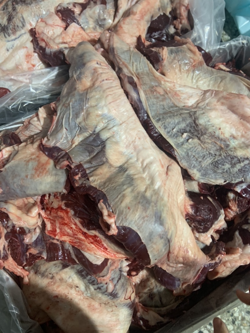 国产纯干逻辑肉牛腹肉牛腩肉证件齐全厂家直供